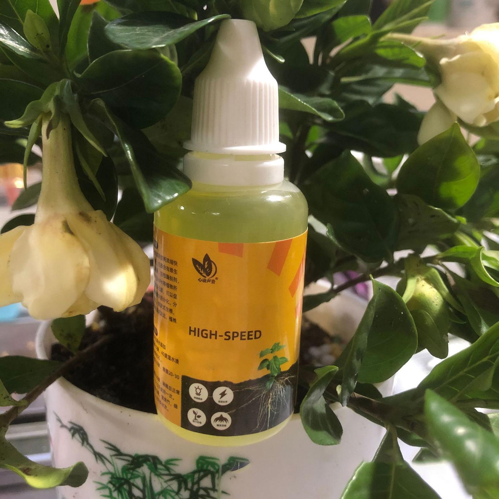 Plant Rapid Rooting Solution 5 – Root Stimulator Liquid recenzja i cena