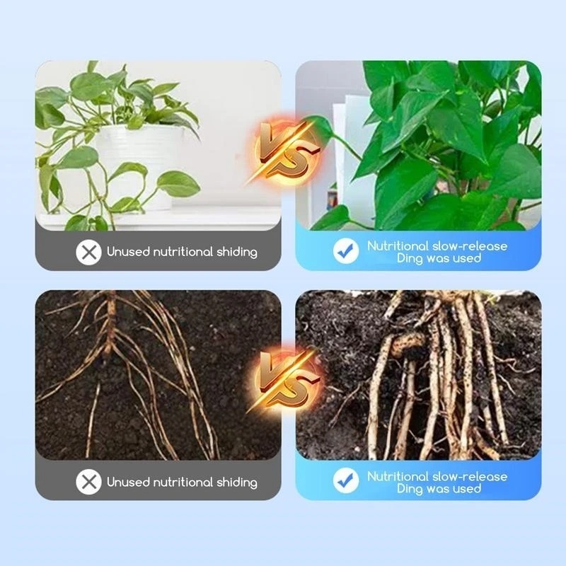 2bags Rooting Hormone Powder U – Rooting Hormone Powder recenzja i cena