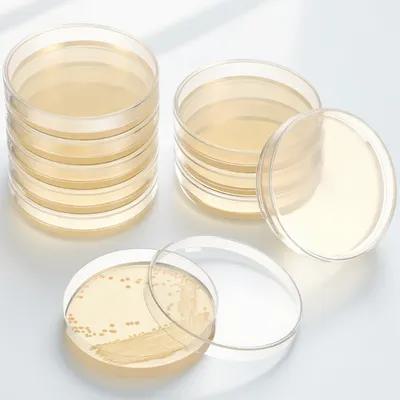 20Pcs Pre-Poured Agar Plates N – Agar Tissue Culture recenzja i cena