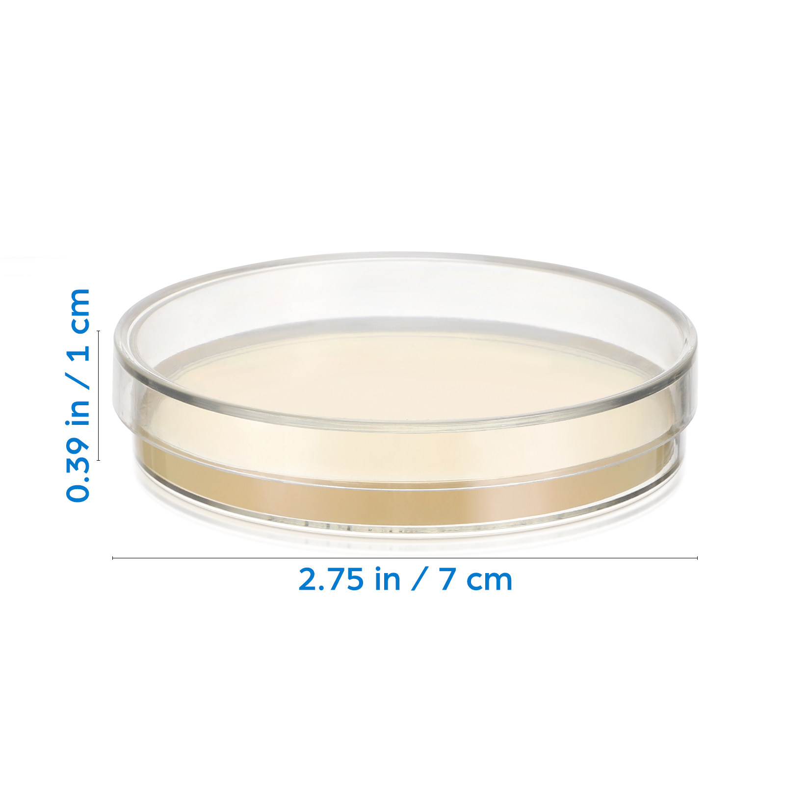 20Pcs Pre-Poured Agar Plates N – Agar Tissue Culture recenzja i cena