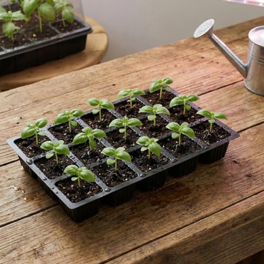 5-Set Seed Starter Tray Kits D – Humidity Dome Kit recenzja i cena