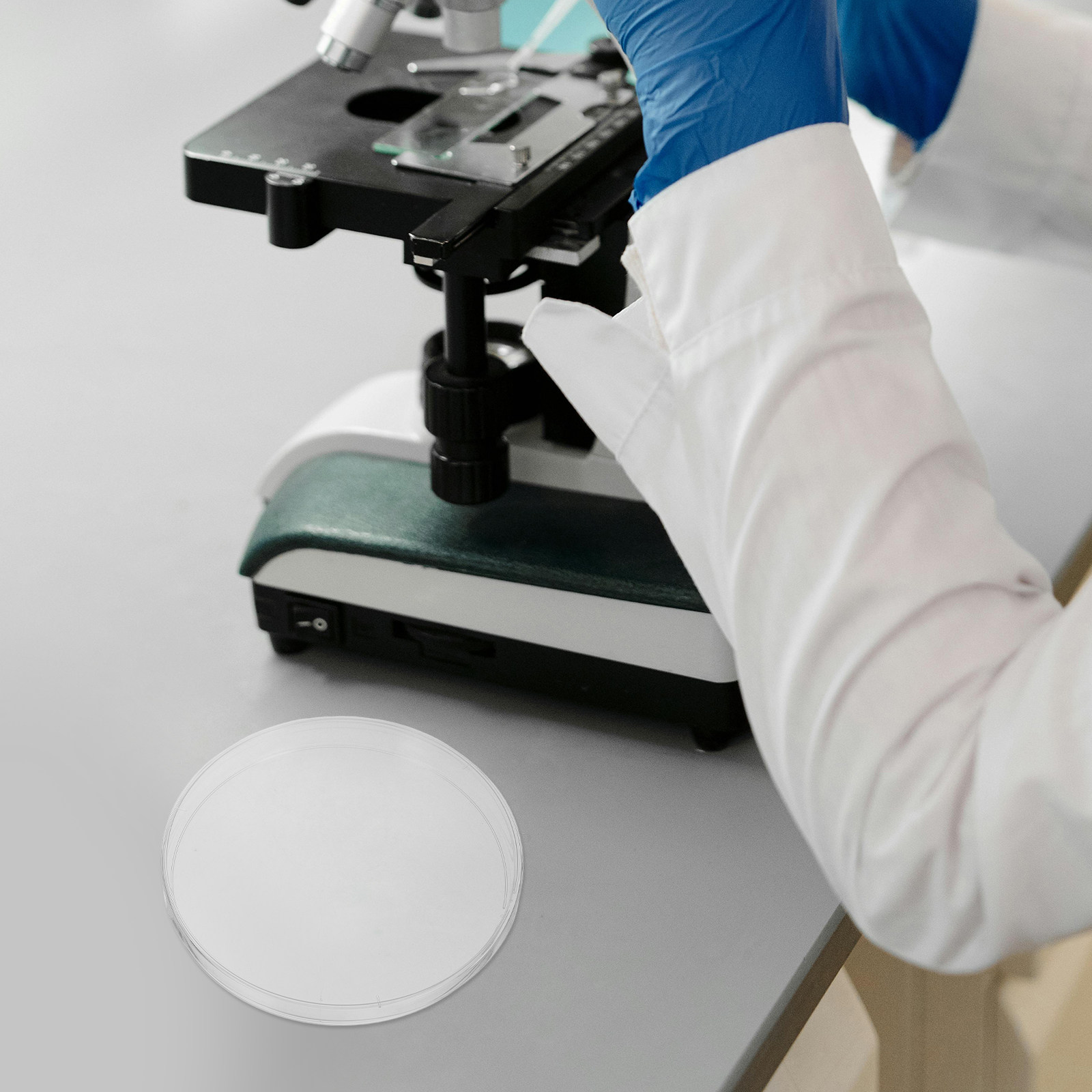 10Pcs Laboratory Petri Dishes  – Agar Tissue Culture recenzja i cena