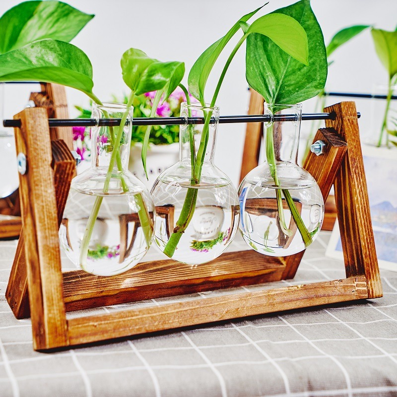 Tabletop Glass Planter Propaga – Propagation Station Vase recenzja i cena