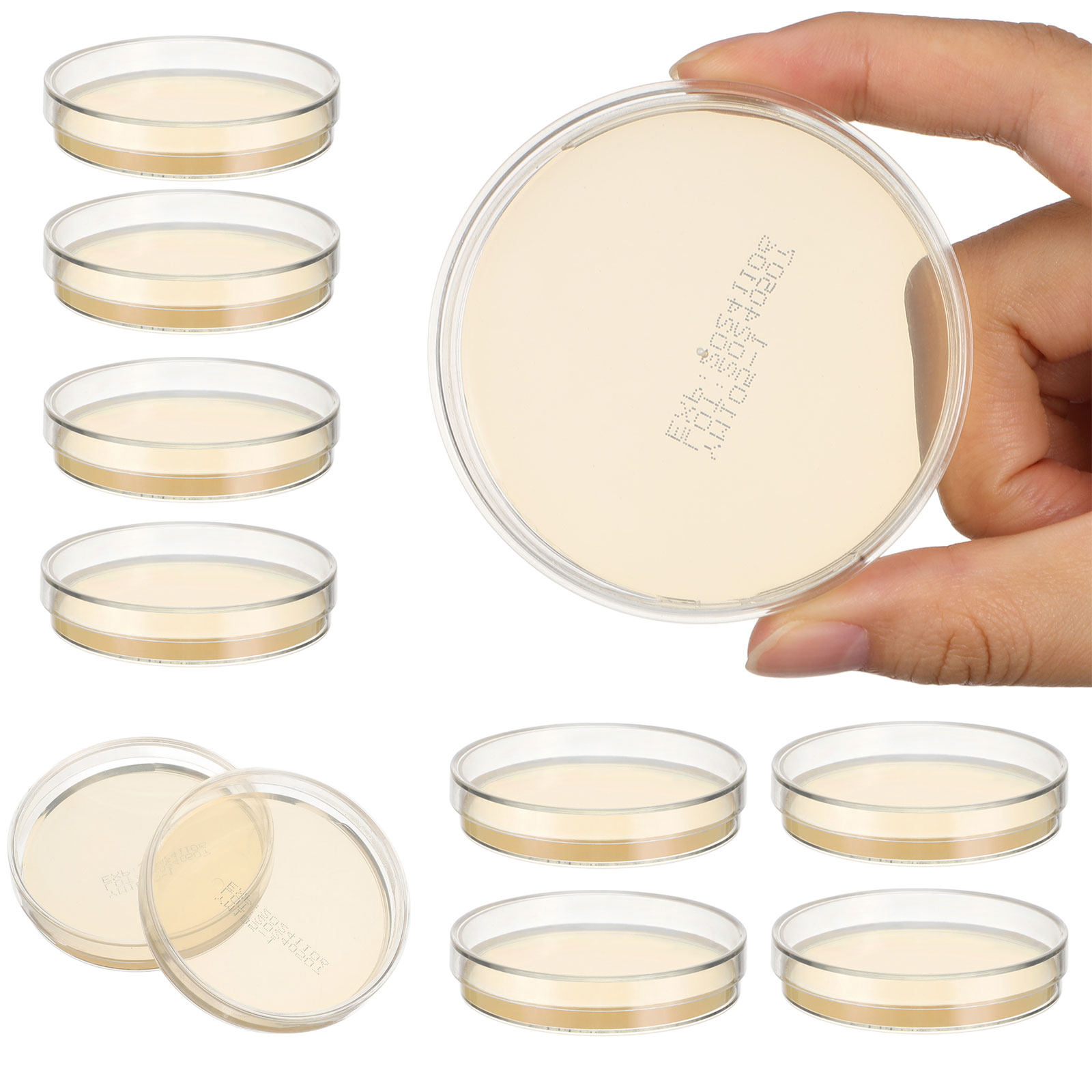 10pcs Prepoured Agar Plates Pe – Agar Tissue Culture recenzja i cena